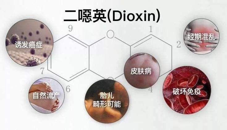 二恶英检测