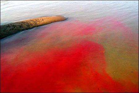 印染废水检测