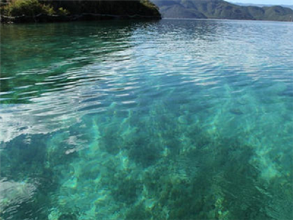 深圳污水检测说说氨氮废水来源