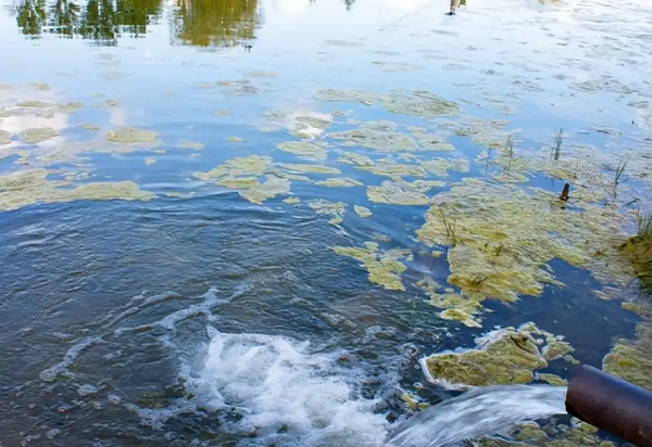 深圳水质检测引起水污染的原因有哪些？这几点因素很常见