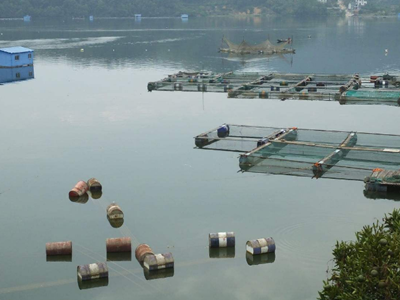 深圳水质检测
