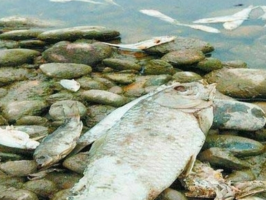 深圳水质检测
