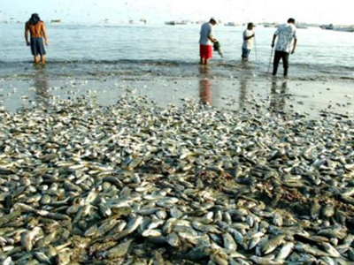 深圳水质检测机构