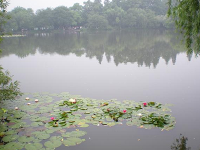 深圳水质检测