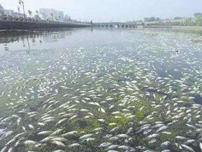 水污染会引发哪些肾脏疾病？深圳水质检测机构