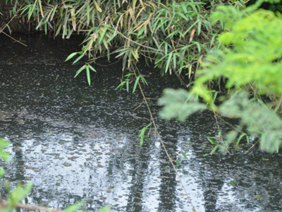 深圳水质检测