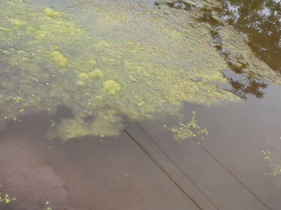 深圳水质检测