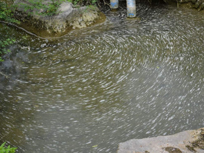 深圳水质检测