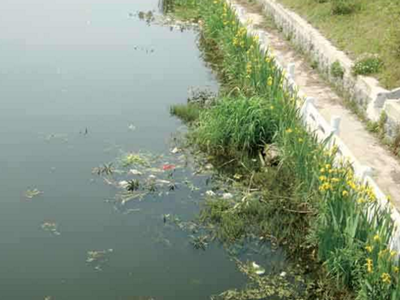 深圳水质检测机构