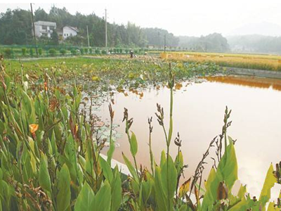 深圳水质检测