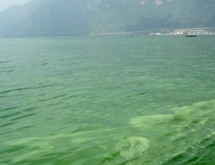 深圳水质检测工业废水排放标准指标