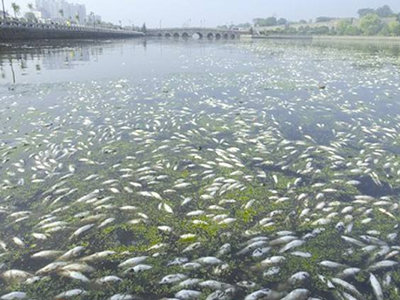 深圳水质检测机构