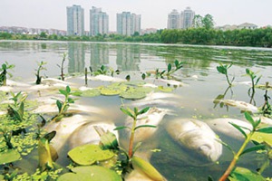深圳水质检测机构