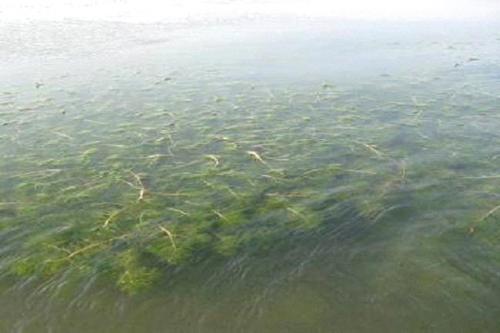 深圳水质检测机构