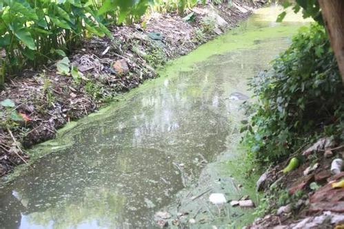深圳水质检测