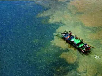 深圳水质检测机构