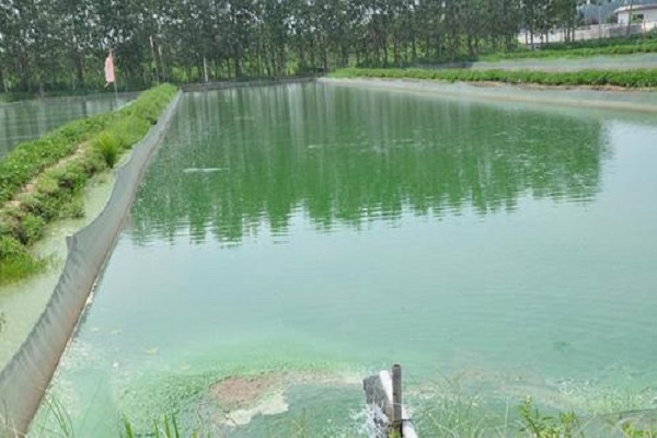 养殖水质检测