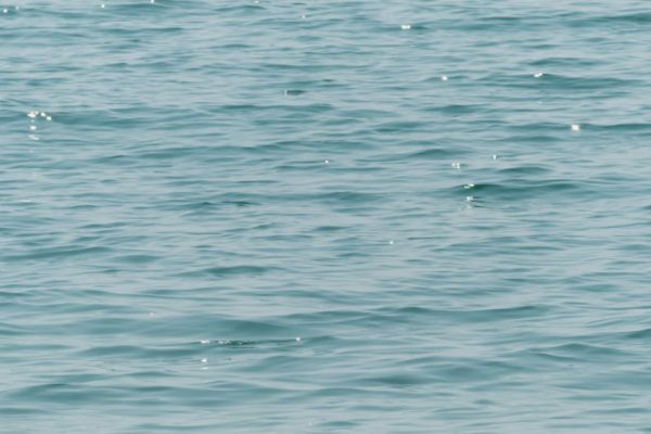 深圳水质检测权威